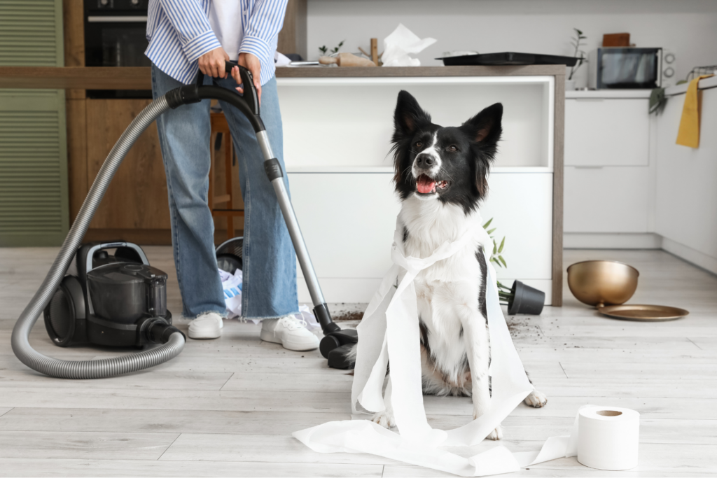 Persona limpiando una casa con un perro al lado
